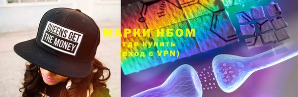 хмурый Верея