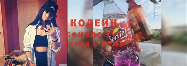 хмурый Верея