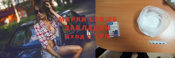 хмурый Верея