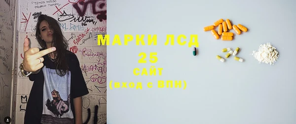 хмурый Верея