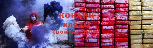 хмурый Верея